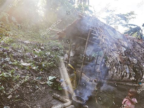 Members Indigenous Mbuti Community Prepare Food Editorial Stock Photo ...