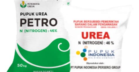 Perbedaan Kandungan Pupuk Urea Subsidi Dan Nonsubsidi