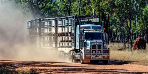 KENWORTH T659 LIVESTOCK ROAD TRAIN: REVIEW - Kenworth Australia