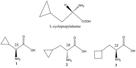 L-Cyclopropylalanine and its derivatives compounds 1, 2 and 3 ...