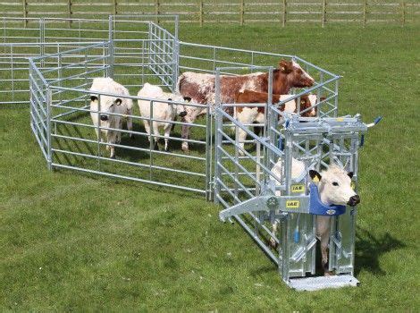 IAE Portable Cattle Handling Starter Kit | Cattle farming, Cattle ...