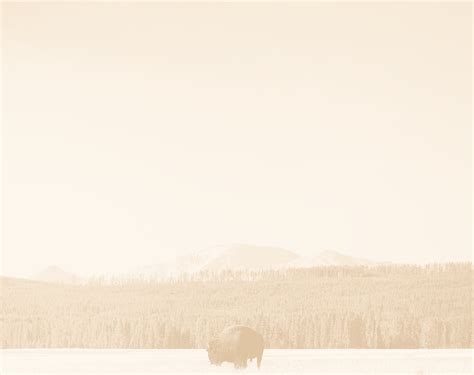 Year Round Yellowstone Tours | Montana Yellowstone Tours