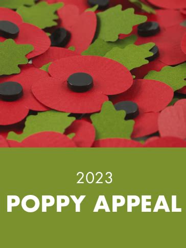 Poppy Appeal 2023 – Fareham Shopping Centre