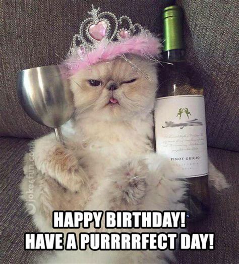 101 Funny Cat Birthday Memes for the Feline Lovers in Your Life