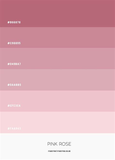 Pink Rose Colour Scheme #Colour Palette 67 | Color palette pink, Color ...