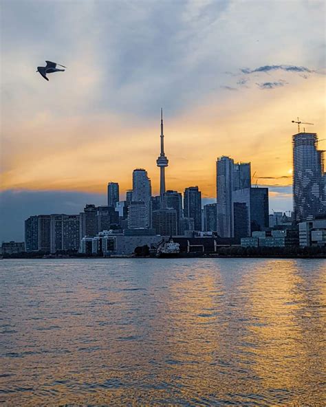 Toronto Harbour Sunset | UrbanToronto