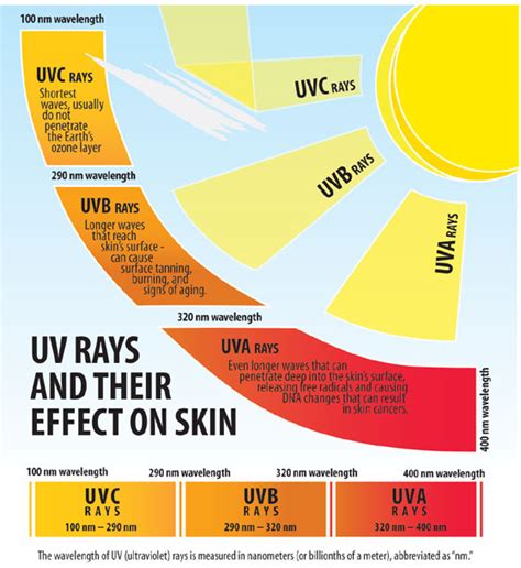 UV Rays Explained | Tipperary Tinting