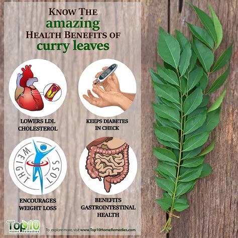 Know the Amazing 10 Health Benefits of Curry Leaves | Top 10 Home Remedies