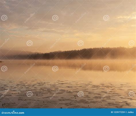 Golden Sunrise at Foggy Lake Stock Image - Image of foggy, early: 123977259