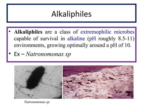 Microbes of extreme environment