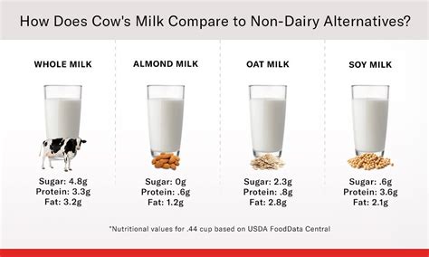 16 Best Milk Alternatives Healthiest Dairy-Free Milk, 49% OFF