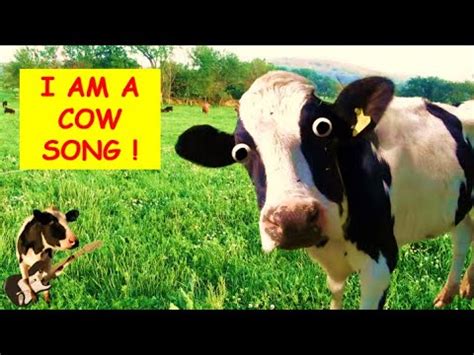 I'm a Cow Song 2020 | Funniest Song I have Ever Heard ! - YouTube