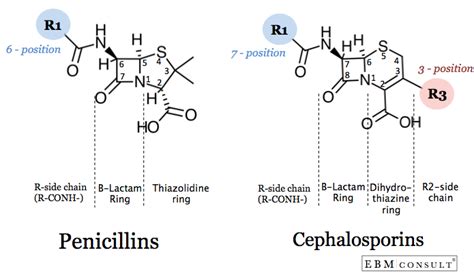 Penicillin and Cephalosporin Cross-Reactivity and Risk for Allergic ...