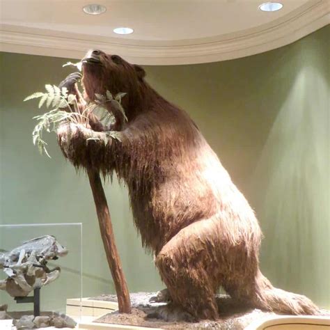 Giant Sloth Prehistoric