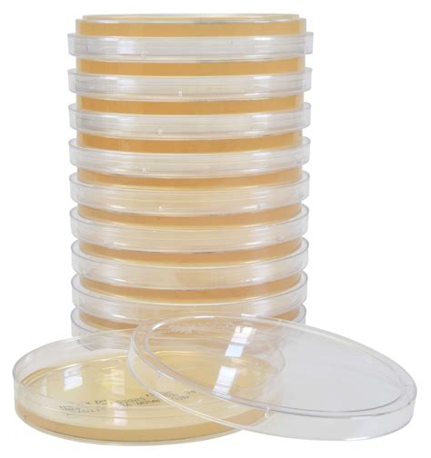 Buy Tryptic Soy Agar (TSA), USP, a General Growth Medium for ...