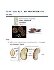 Exploring the Evolution of Seed Plants: A Comprehensive Study | Course Hero