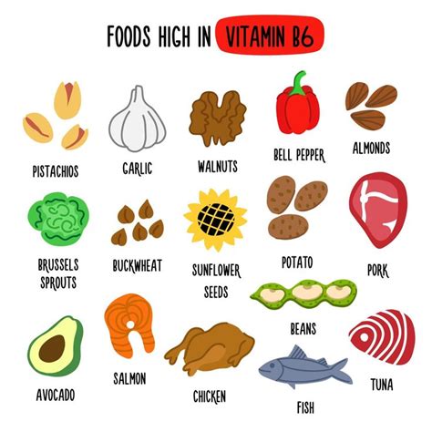 Foods High in vitamin B6. Vector illustration with healthy foods rich ...