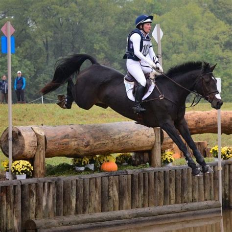 Eventing Explained: Do Event Horses Enjoy Cross Country? - Heels Down Mag