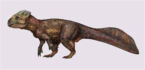 Koreaceratops dinosaurs , facts | pictures -Koreaceratops habitat.