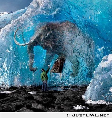 In ice condition: Amazingly preserved woolly mammoth found frozen in ...