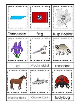 Tennessee State Symbols themed 3 Part Matching Preschool Literacy Card Game