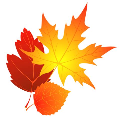 Free Fall Leaf Transparent Background, Download Free Fall Leaf ...