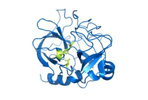 Hydrolases - Proteopedia, life in 3D