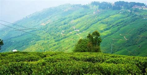 Darjeeling, West Bengal, India | Darjeeling, Green background video ...