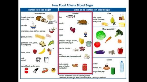 Adult Type 2 Diabetes - 4. Nutrition Basics - YouTube