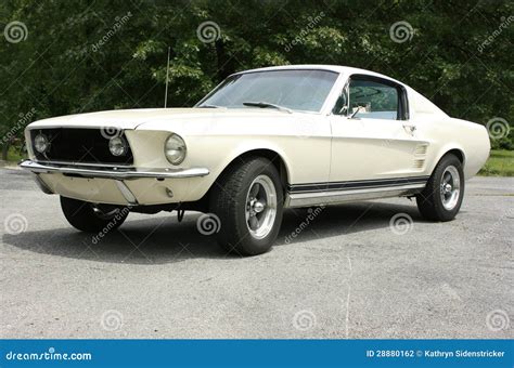 1967 Ford Mustang Fastback Restored Stock Photo - Image of eleanor ...