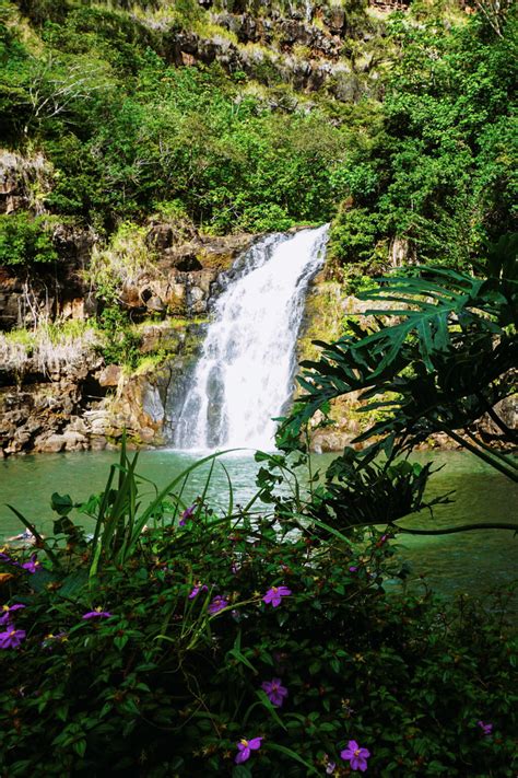 Waimea Valley & Waterfall - LAURALOHA TRAVEL