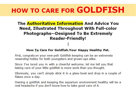 1 | How to take care of goldfish