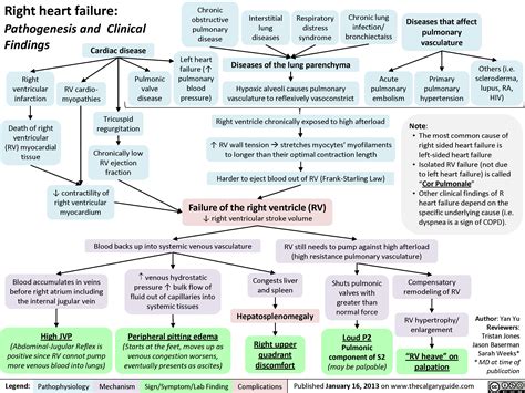 Right Heart Failure | Calgary Guide