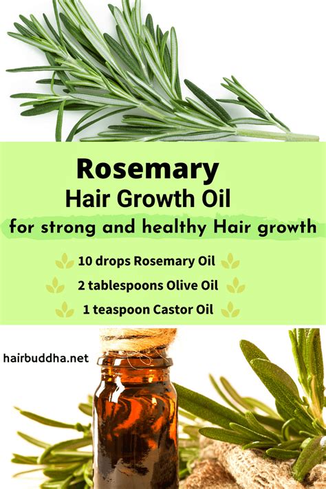 Why Use Rosemary Oil for Hair Growth (Helps with Androgenic Alopecia ...