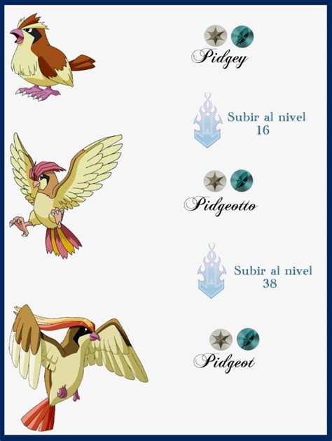 Hablemos de Pidgey | •Pokémon• En Español Amino