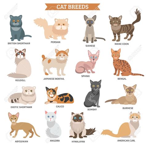 Big Cat Breeds List