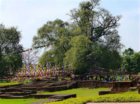 Bodhi Tree, Lumbini, Nepal | Bodhi Tree photos and more information