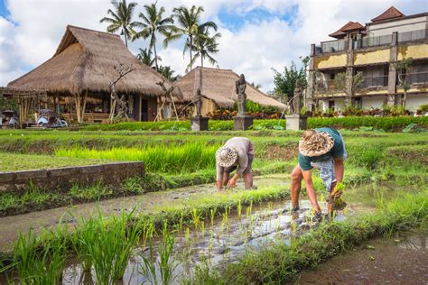 5 Desa Terindah di Bali, Bisa untuk Liburan Akhir Tahun Nih!