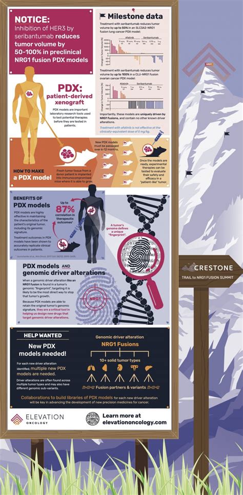 Infographic: PDX Models and Precision Oncology - Elevation Oncology