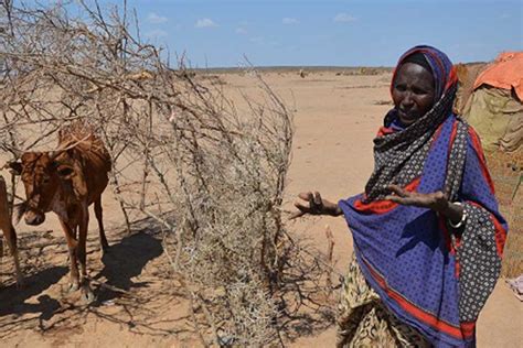 Drought In Ethiopia: 10 Million People In Need | Africa Renewal