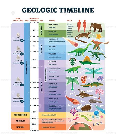 Geologic time scale worksheet chart, vector illustration poster ...