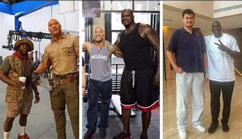 Height difference between Kevin Hart-Rock-Shaq-Yao Ming - 9GAG