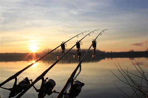 Best Rods For Your Next Carp Fishing Trip - 5Blog