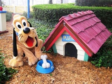 Pluto! | Disney Magic | Pinterest | Dog houses, House and Dogs