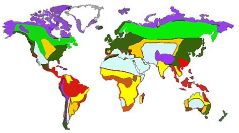 Biome Map With Biomes