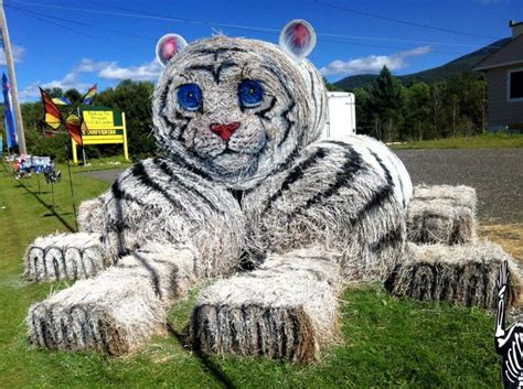 20 Ordinary Hay Bales Turned Into Stunning Art | Cowman Ranch ...