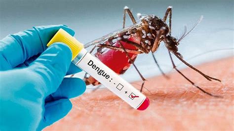 Argentina has more reported cases of dengue (25.000) than of ...