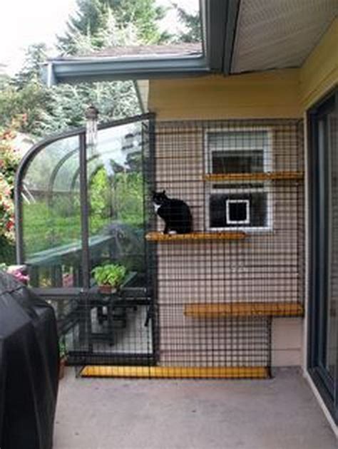 How to Turn an IKEA Bookcase Into a Catio | Your Projects@OBN | Cat ...