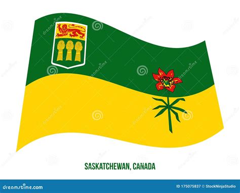 Saskatchewan Flag Waving Vector Illustration on White Background ...