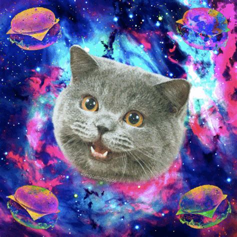 Space Cat GIF - Find & Share on GIPHY